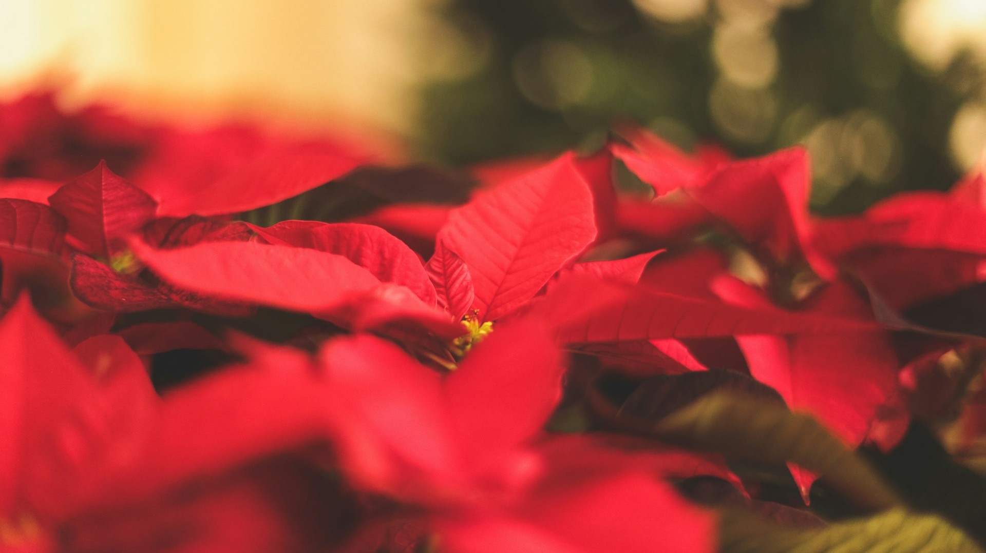 Riformati Valposchiavo