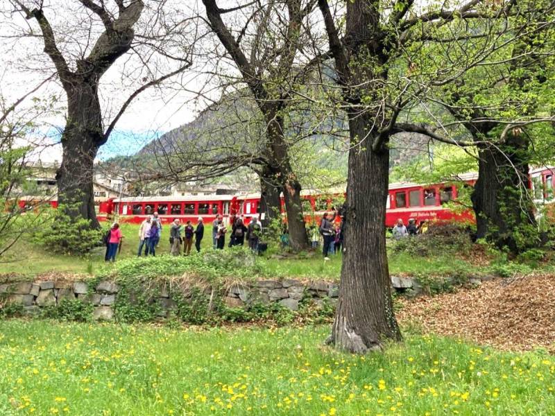 Il Canto degli alberi - ritrovo al viadotto