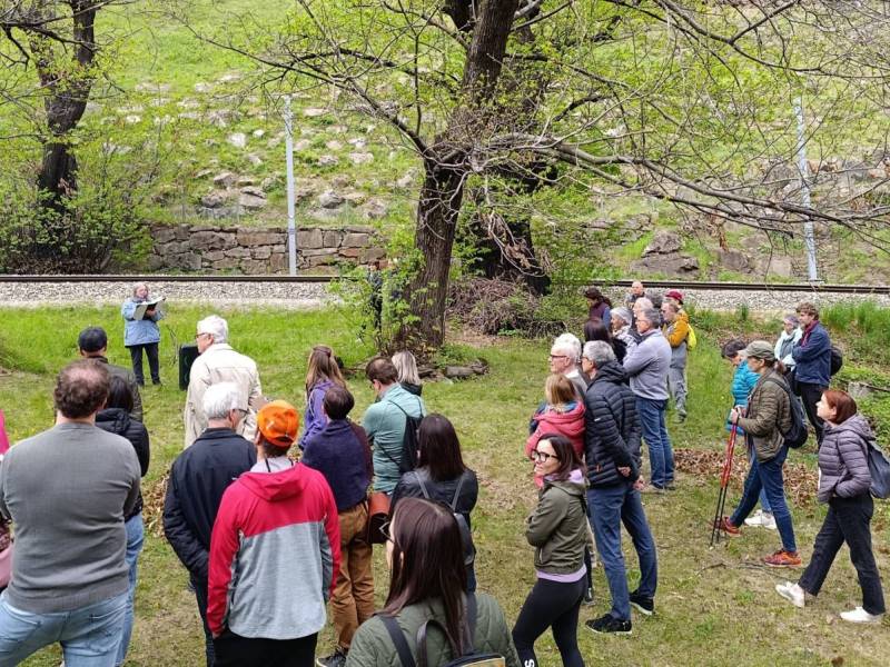 Il Canto degli alberi - inizia l'evento