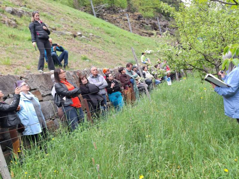 Il Canto degli alberi - Vilma Tognini legge poesie